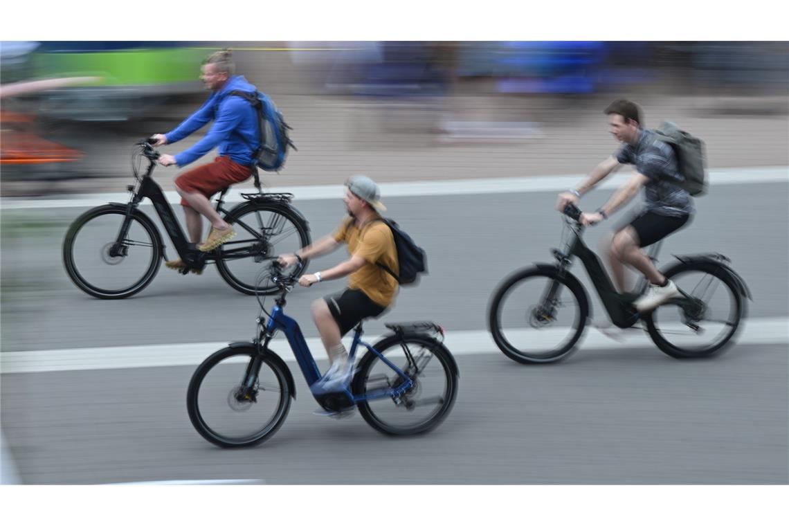 E-Bikes dominieren den deutschen Fahrradmarkt, doch die Preise fallen. (Archivbild)