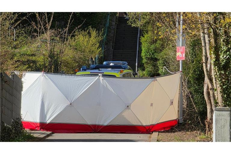 Ein 22-Jähriger ist in der Nacht bei dem Einsatz gestorben.