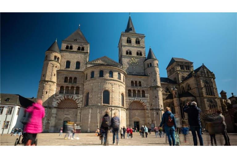Ein 72-Jähriger soll im Trierer Dom rund 500 Mittelmeergrillen ausgesetzt haben (Archivfoto).