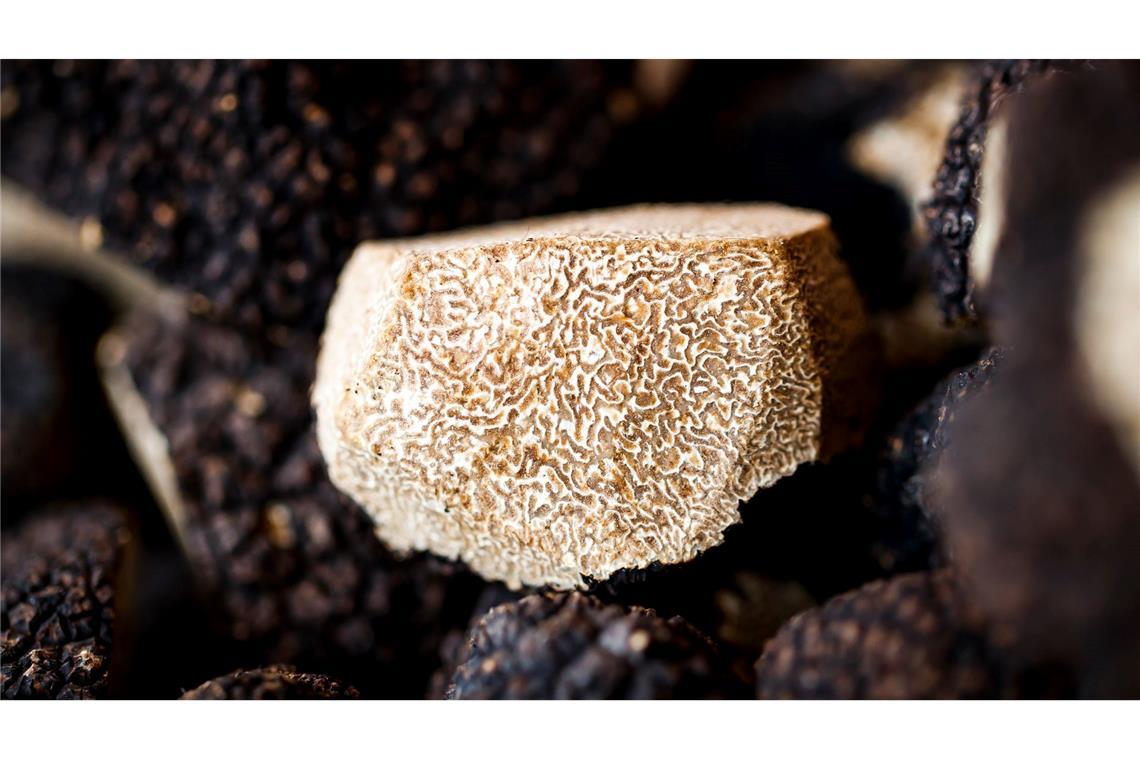 Ein aufgeschnittener Burgundertrüffel (Tuber uncinatum) auf einem Markt in der Schweiz. (Archivbild)