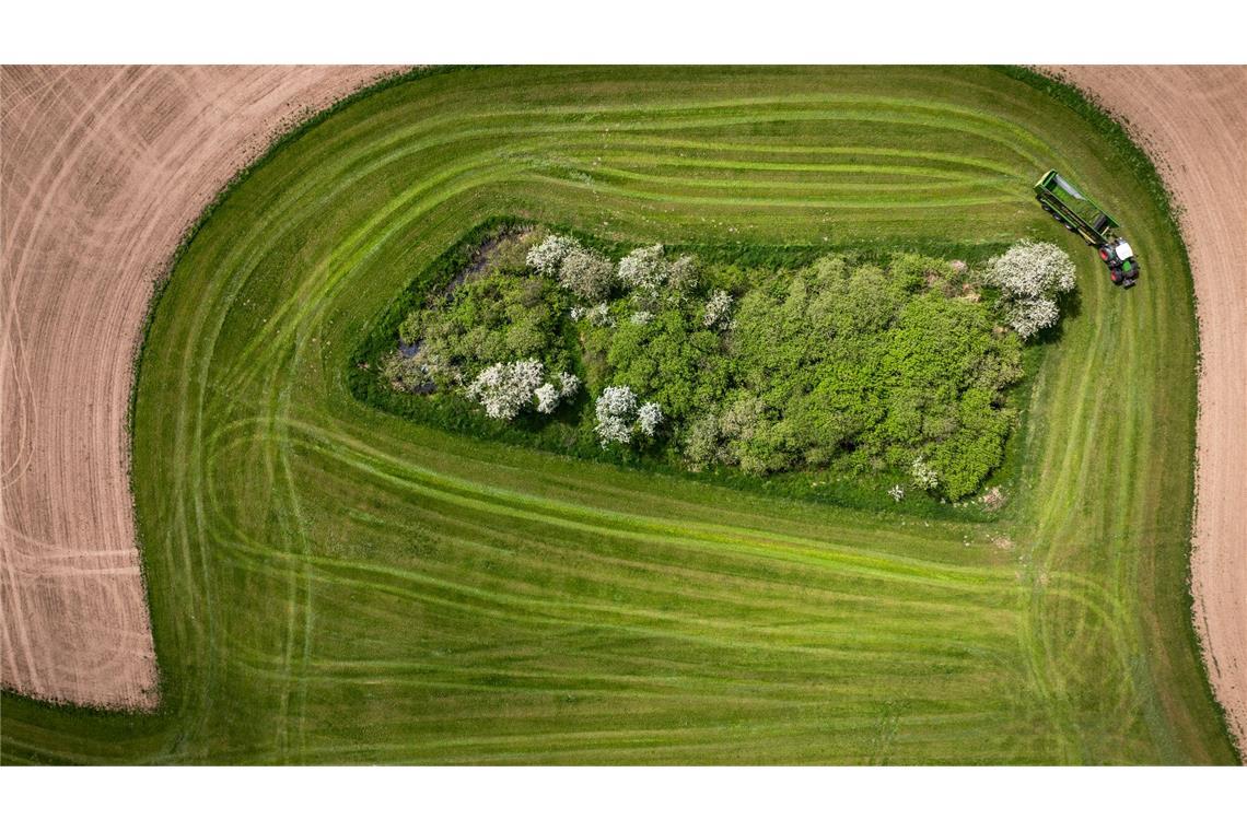 Ein Bauer erntet Grünfutter.