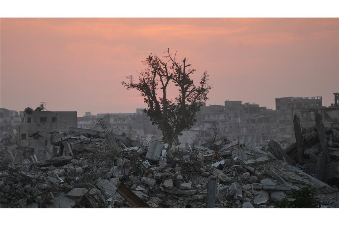 Ein Baum steht inmitten der Ruinen zerstörter Gebäude in Chan Junis im Gazastreifen.