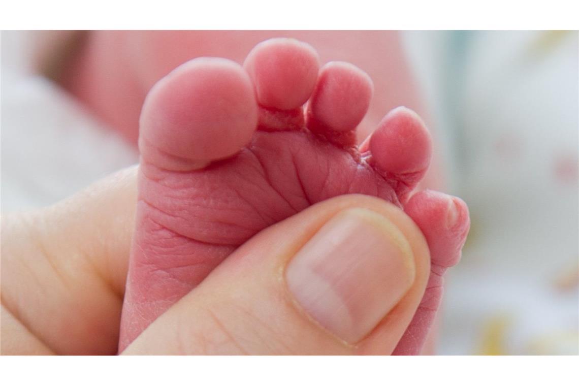 Bluttropfen kann Leben retten: Babyscreening auf Krankheiten Ein Bluttropfen vom Fuß eines Babys genügt, um viele Krankheit zu erkennen. (Archivbild)
