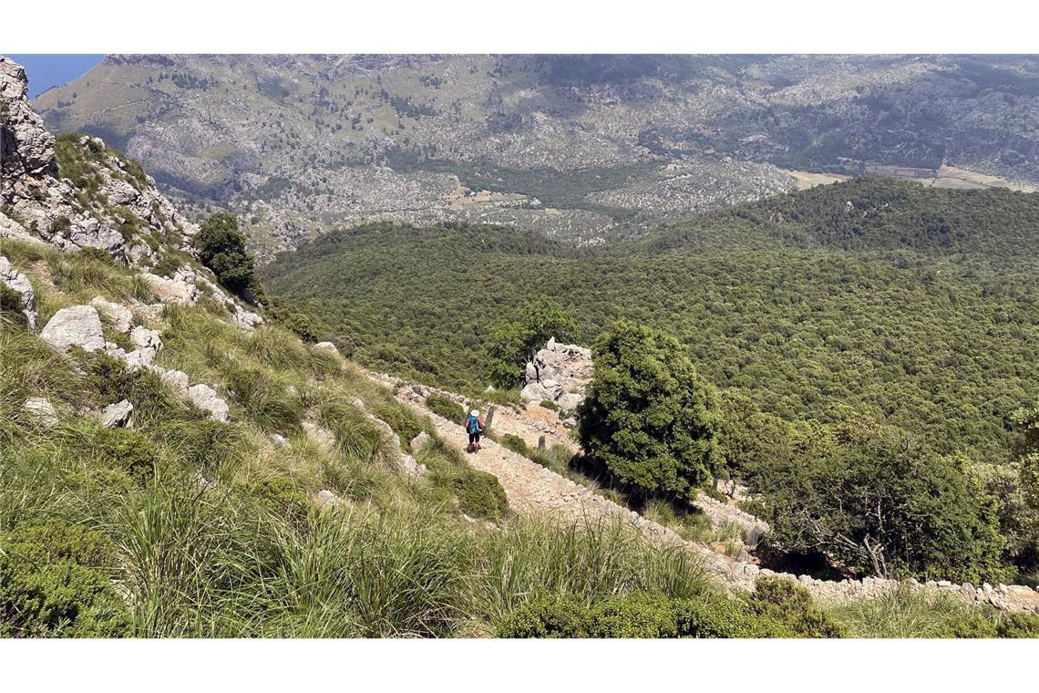Ein deutscher Wanderer ist auf Mallorca in den Tod gestürzt.