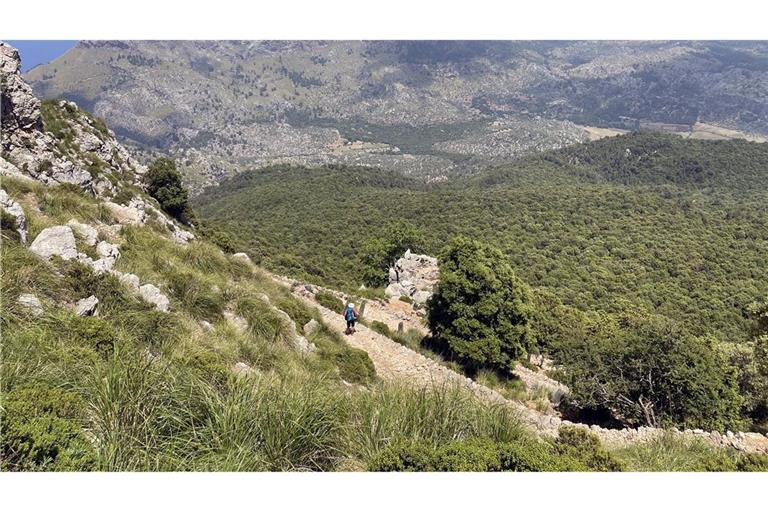 Ein deutscher Wanderer ist auf Mallorca in den Tod gestürzt.