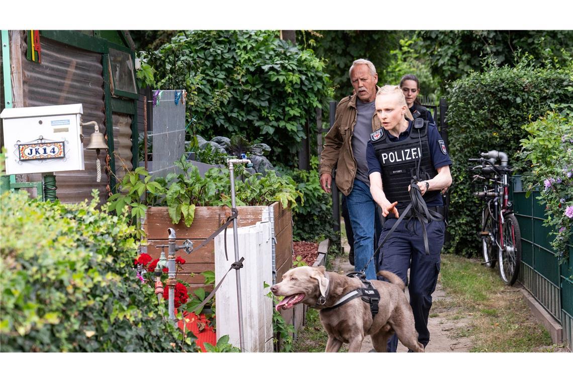 Ein engagierter Hund hilft den Kommissaren Klempke und Rogov bei der Verfolgung eines Tatverdächtigen.