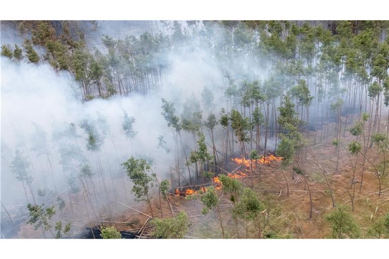Ein Feuer brennt bei einem Wald- und Vegetationsbrand in der Gohrischheide im Landkreis Meißen.