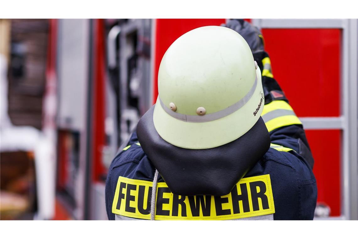 Ein Feuerwehrmann holt während einer Einsatzübung einer Freiwilligen Feuerwehr eine Leiter vom Dach eines Einsatzfahrzeugs. (zu dpa: «Feuerwehr rettet Pferd mit Spezialgeschirr aus Güllegrube»)