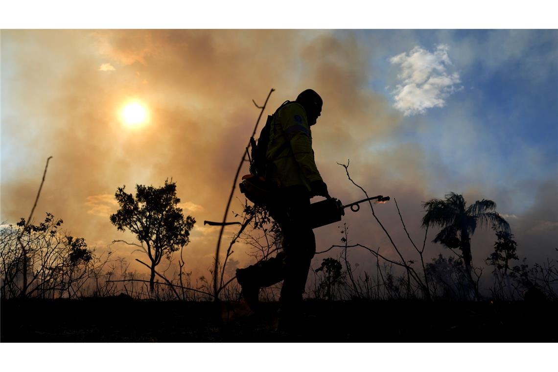 Bilder des Tages Ein Feuerwehrmann setzt im Rahmen eines kontrollierten Plans zur Verhinderung von Waldbränden in der Cerrado-Region in einem Nationalpark in Brasilien Wald in Brand.