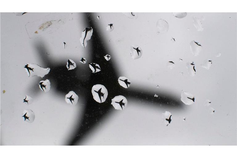 Ein Flugzeug landet bei Regenwetter. (Symbolbild)