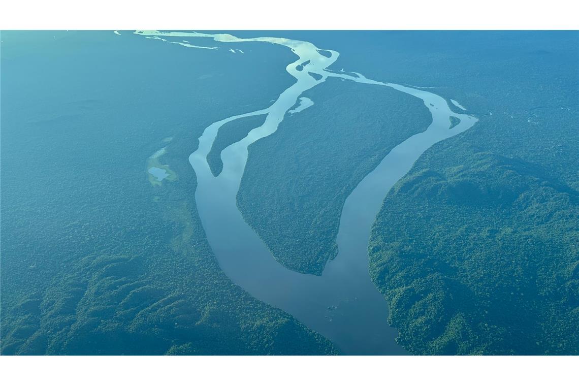 Was der Gold-Boom im Amazonas anrichtet Ein Fluss schlängelt sich durch den Regenwald.