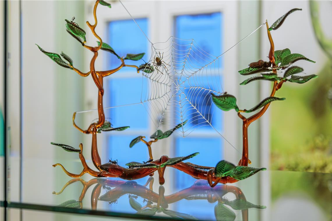 Dem „wunderbaren Waldglas“ eine Bühne Ein ganz modernes Stück, bei dem mit Glas Flora und Fauna in Szene gesetzt werden.