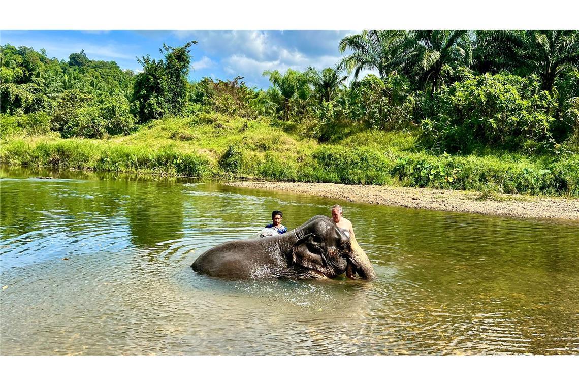 Elefant tötet in Thailand spanische Touristin Ein gemeinsames Bad mit Elefanten gilt in den Camps als eine der Hauptattraktionen für Touristen. (Archivbild)