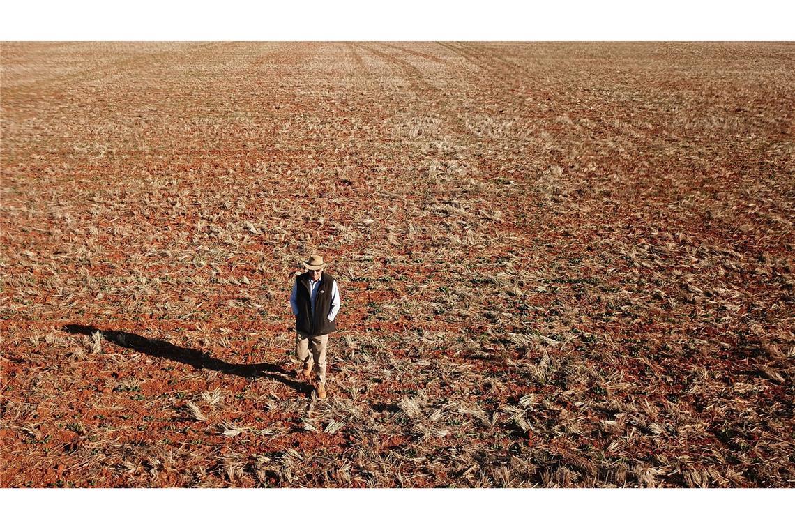 Mega-Dürren werden weltweit häufiger Ein Getreidebauer geht während einer Dürreperiode in Australien 2018 über sein vertrocknetes Rapsfeld. (Archivbild)
