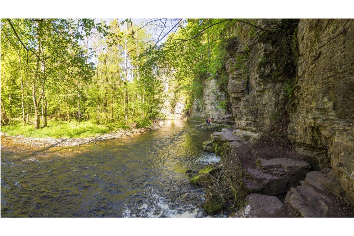 Ein großes Abenteuer: Die wilde Wutachschlucht im Schwarzwald.