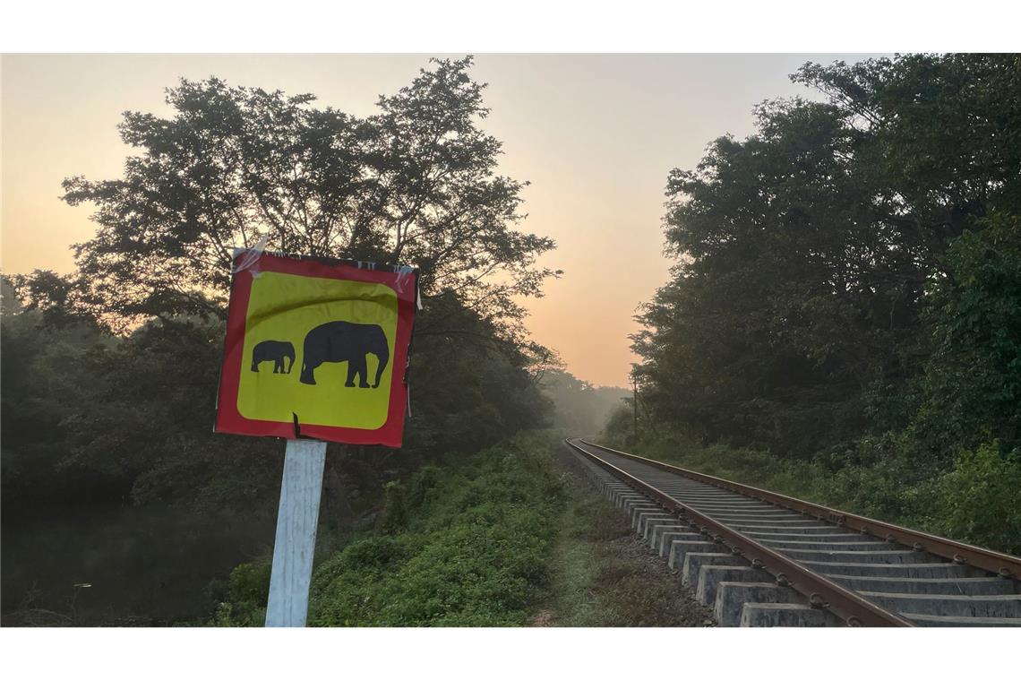 Sechs Elefanten sterben in Sri Lanka bei Kollision mit Zug Ein Hinweisschild warnt vor wilden Elefanten. (Foto aktuell)