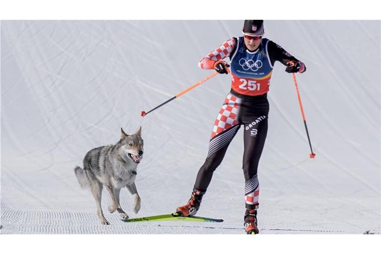 Ein Hund hat im olympischen Langlaufstadion für kuriose Bilder gesorgt.