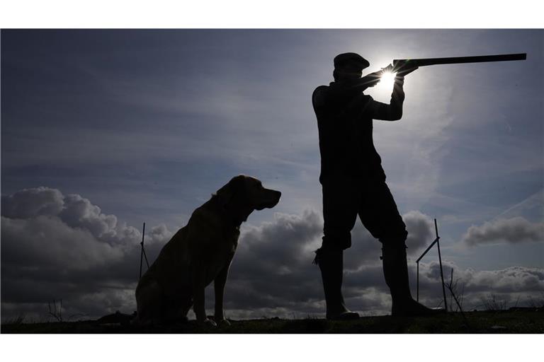 Ein Jagdhund sitzt im englischen Yorkshire neben einem Mitglied einer Jagdgesellschaft, das sich darauf vorbereitet, sein Gewehr während der Jagdsaison auf das als „Glorious Twelfth“ bekannte Rothuhn abzufeuern.