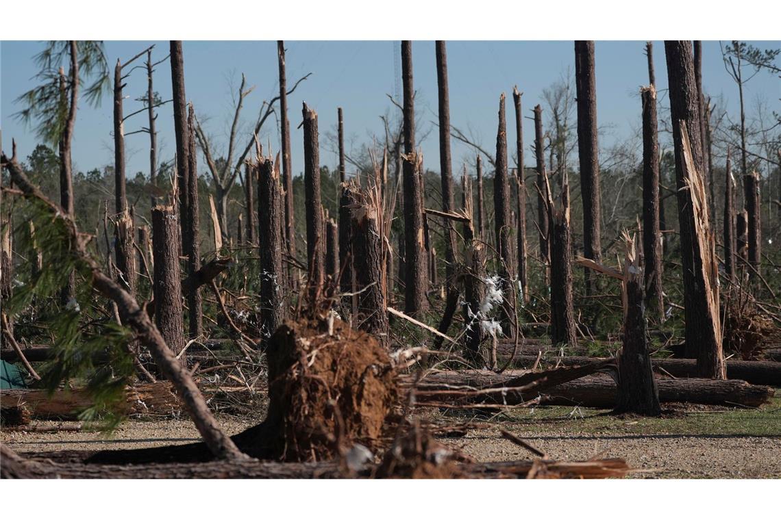 USA: Zahl der Opfer nach Unwettern steigt auf mindestens 40 Ein Kiefernwald in Mississippi wurde durch einen Tornado zerstört.