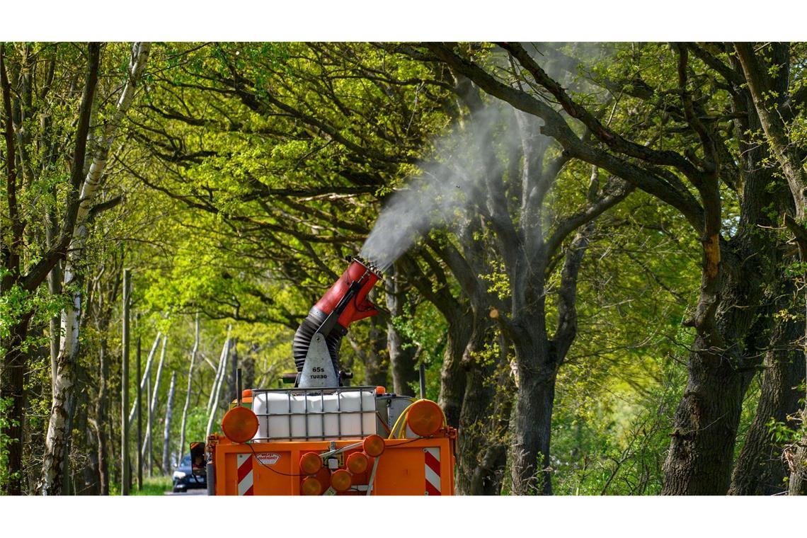 Ein Lastwagen mit einer montierten Sprühkanone bekämpft Eichenprozessionsspinner.