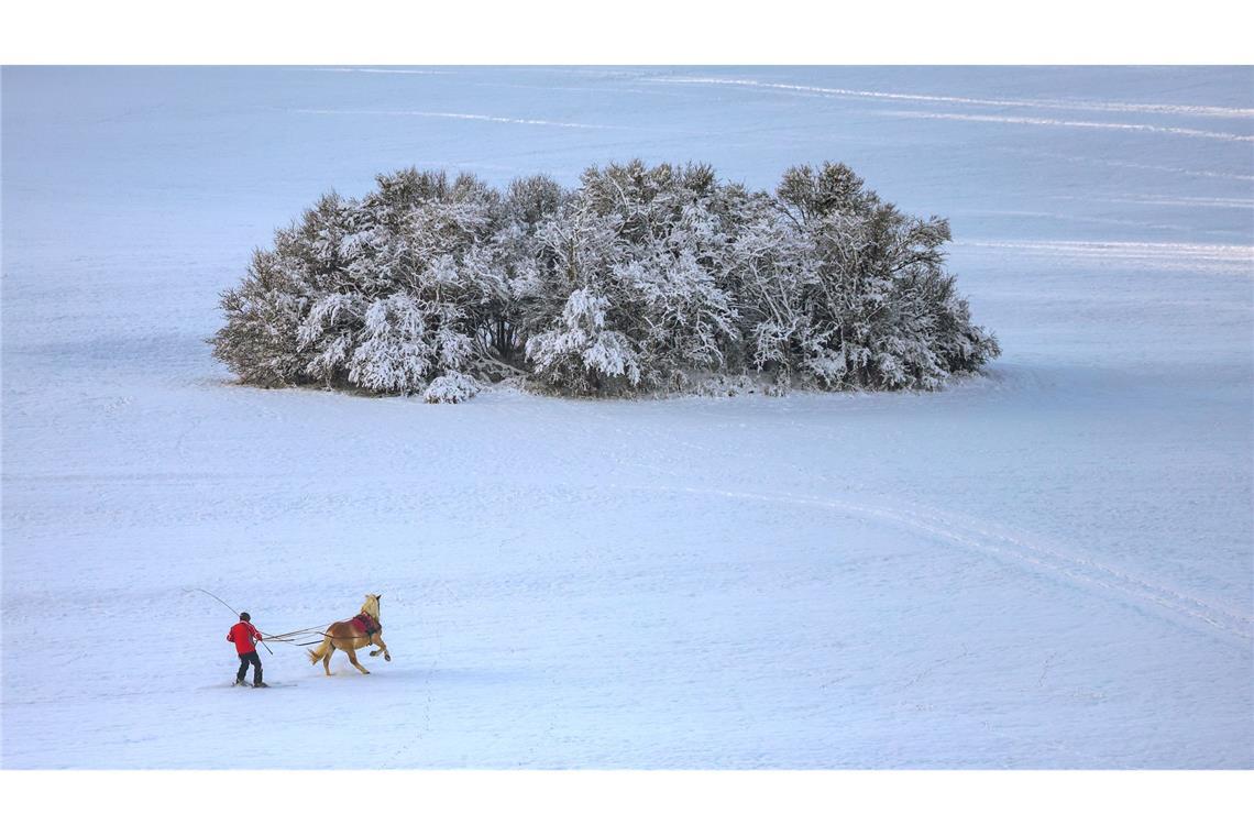 Bilder des Tages Ein Mann auf Skiern lässt sich auf der schwäbischen Alb von einem Pferd durch die verschneite Landschaft ziehen.