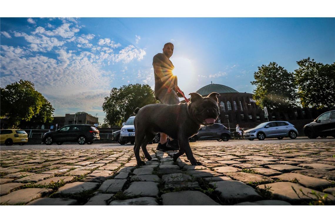 Bilder des Tages Ein Mann geht am Morgen mit seinem Hund in Düsseldorf spazieren.