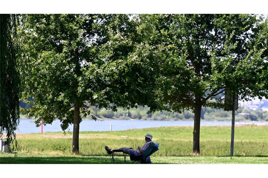 Städte im Hitze-Check: Heißes Mannheim, kühles Hattingen Ein Mann hat sich ein schattiges Plätzchen am Ufer des Rheins in Leverkusen gesucht. (Archivbild)