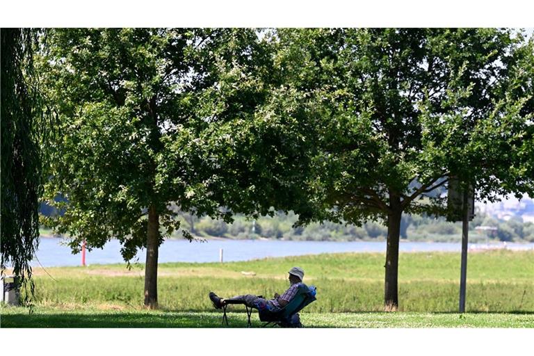 Ein Mann hat sich ein schattiges Plätzchen am Ufer des Rheins in Leverkusen gesucht. (Archivbild)