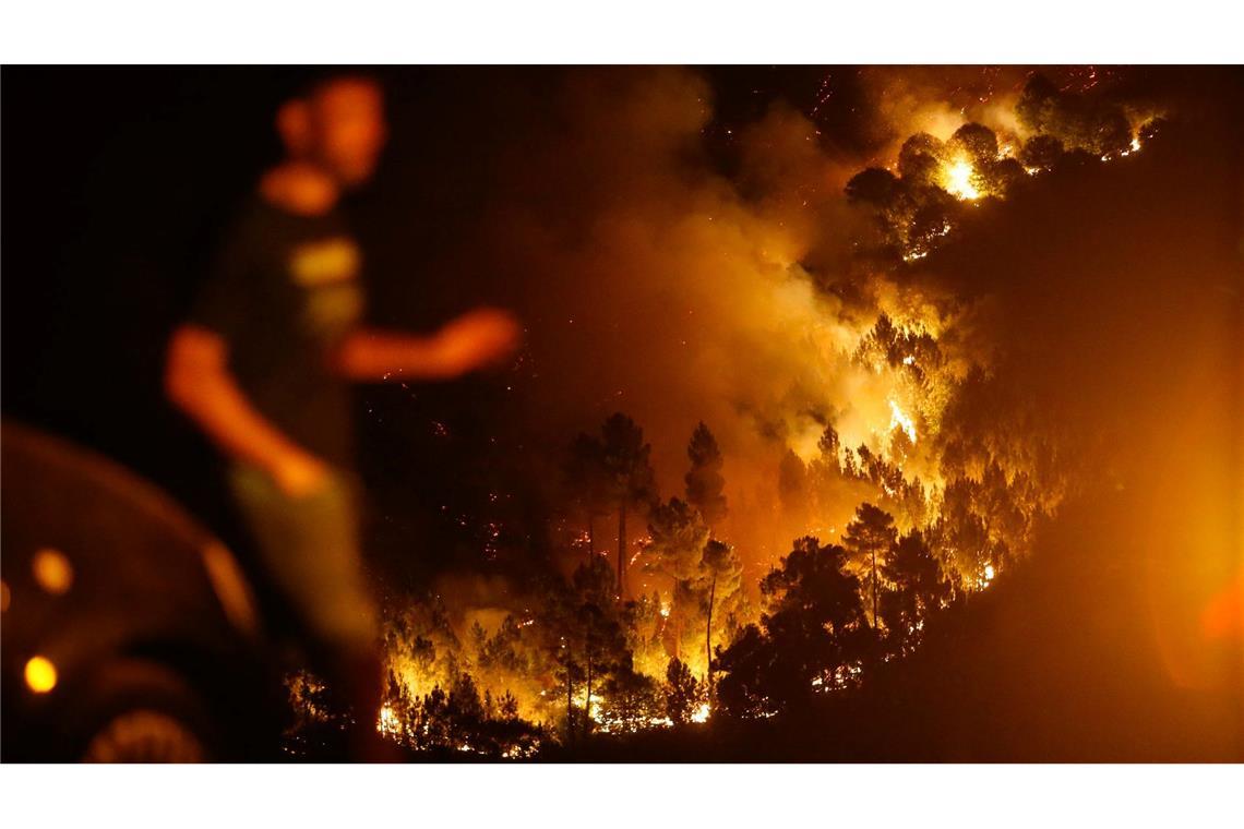 Ein Mann ist vor den Flammen eines Brandes im spanischen Quiroga zu sehen. In Galicien gibt es derzeit gleich mehrere Brände, bei denen bisher zehntausende Hektar an Wald- und Vegetationsfläche verbrannt sind.