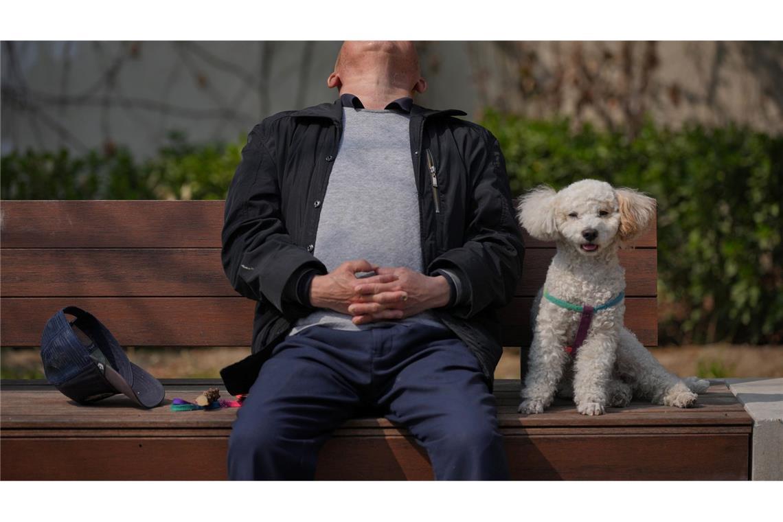 Ein Mann macht ein Nickerchen neben seinem Hund auf einer Bank in Peking.