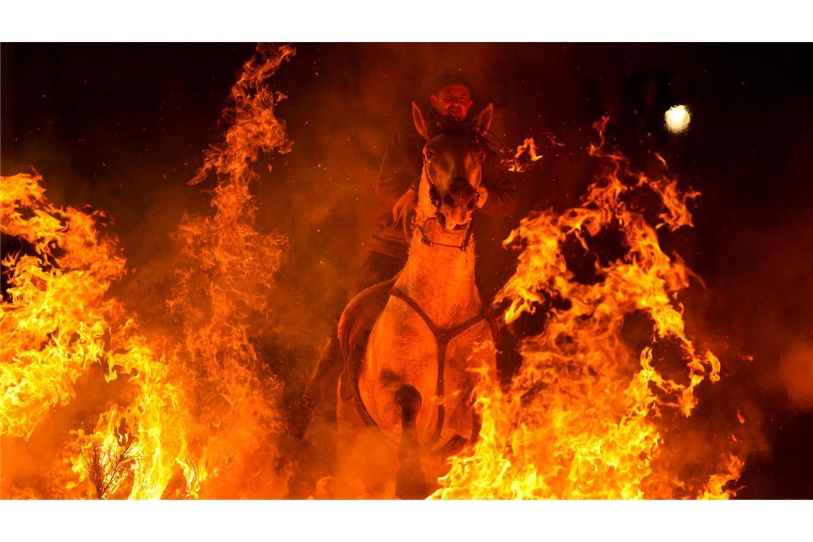 Bilder des Tages Ein Mann reitet ein Pferd durch ein Lagerfeuer als Teil eines Rituals zu Ehren des Heiligen Antonius des Abtes in San Bartolome de Pinares.