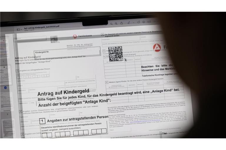 Ein Mensch sitzt vor einem Kindergeld-Antrag an einem Computer. (zu dpa: «Eltern sollen leichter an Kindergeld kommen»)