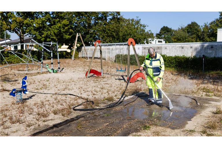 Ein Mitarbeiter der Stadt Kehl spritzt heißes Wasser in die Eingänge eines riesigen Ameisenbaus, der sich unter einem Spielplatz erstreckt.