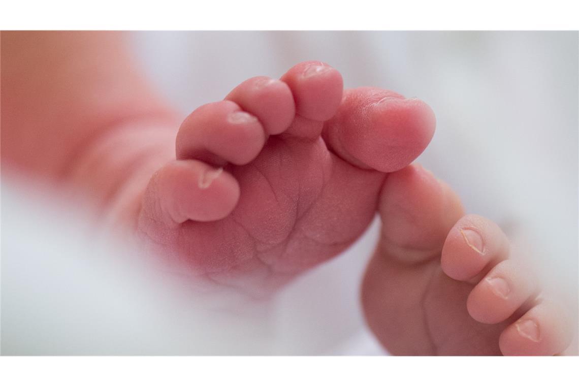 Ein Nachbar hatte sich wegen Lärms belästigt gefühlt. Seine