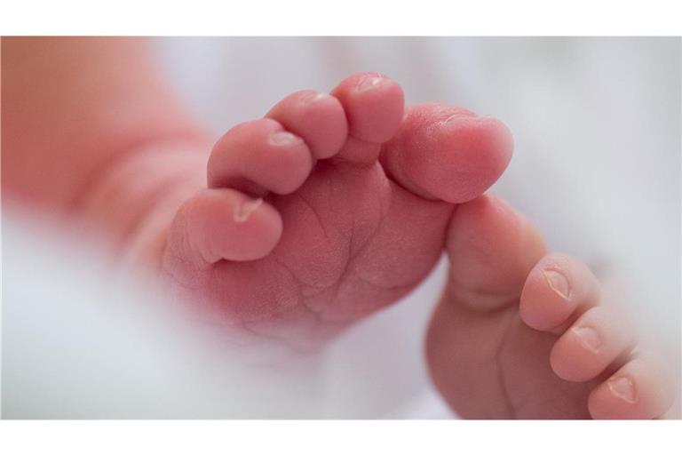 Ein Nachbar hatte sich wegen Lärms belästigt gefühlt. Seine