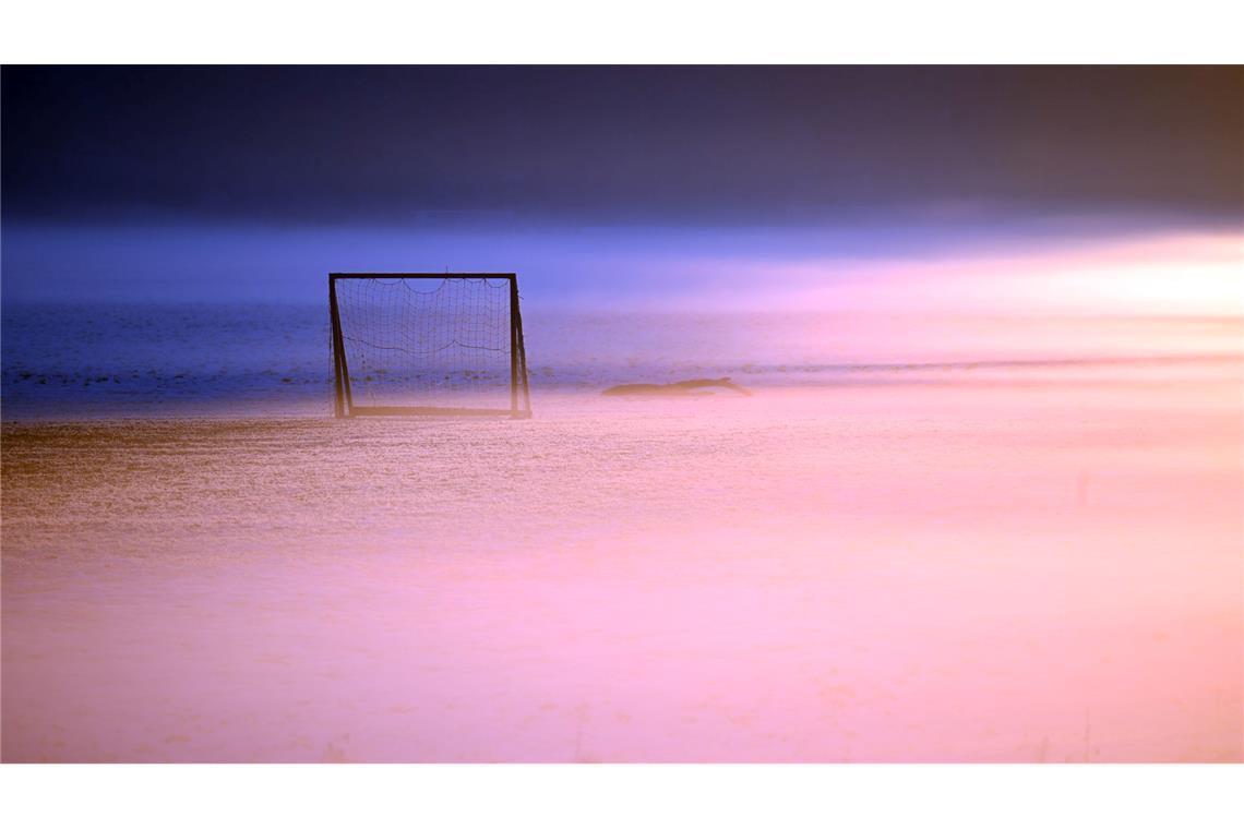 Bilder des Tages Ein provisorisches Fußballtor steht im Nebel am frühen Morgen in Köln.