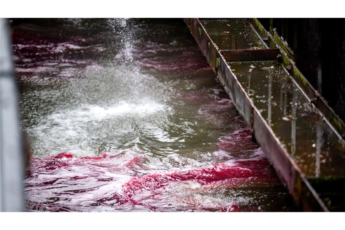 Ein roter Ölteppich bereitet sich auf dem Wasser aus.