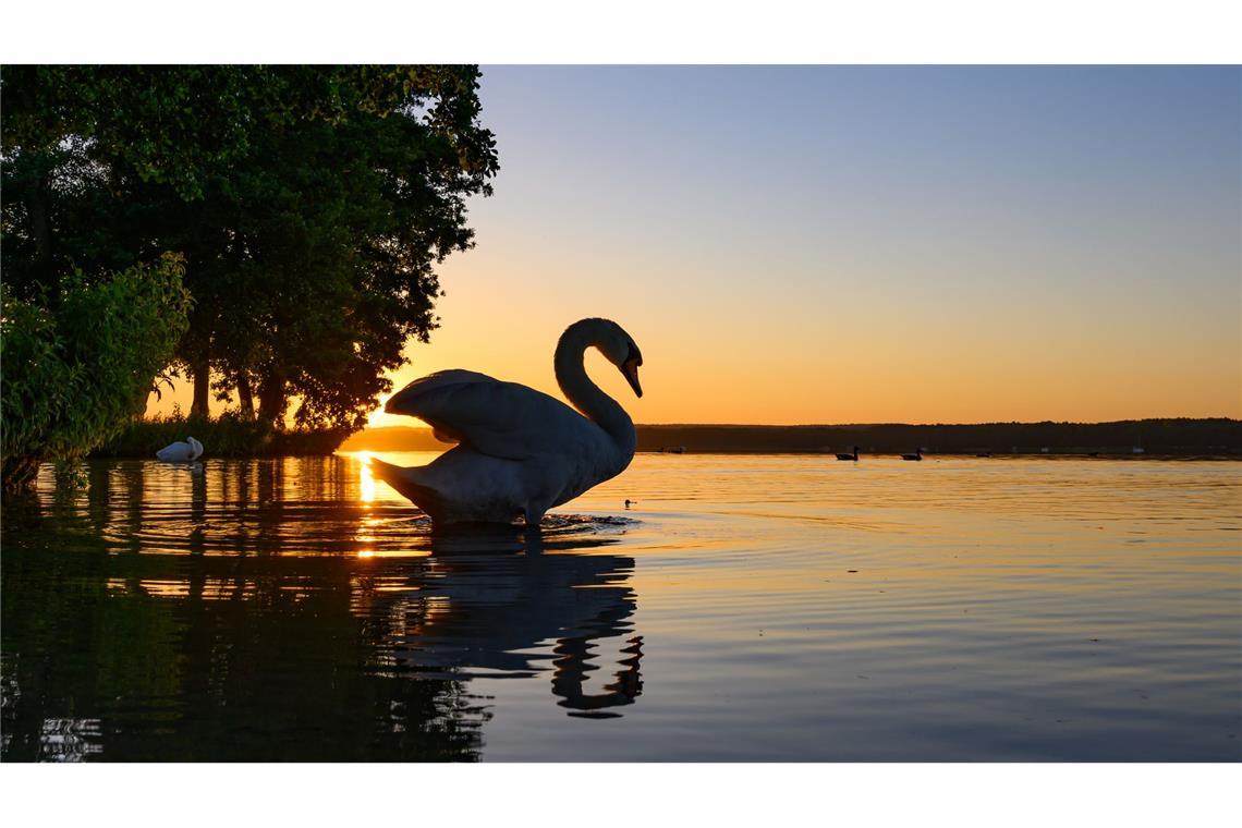 Bilder des Tages