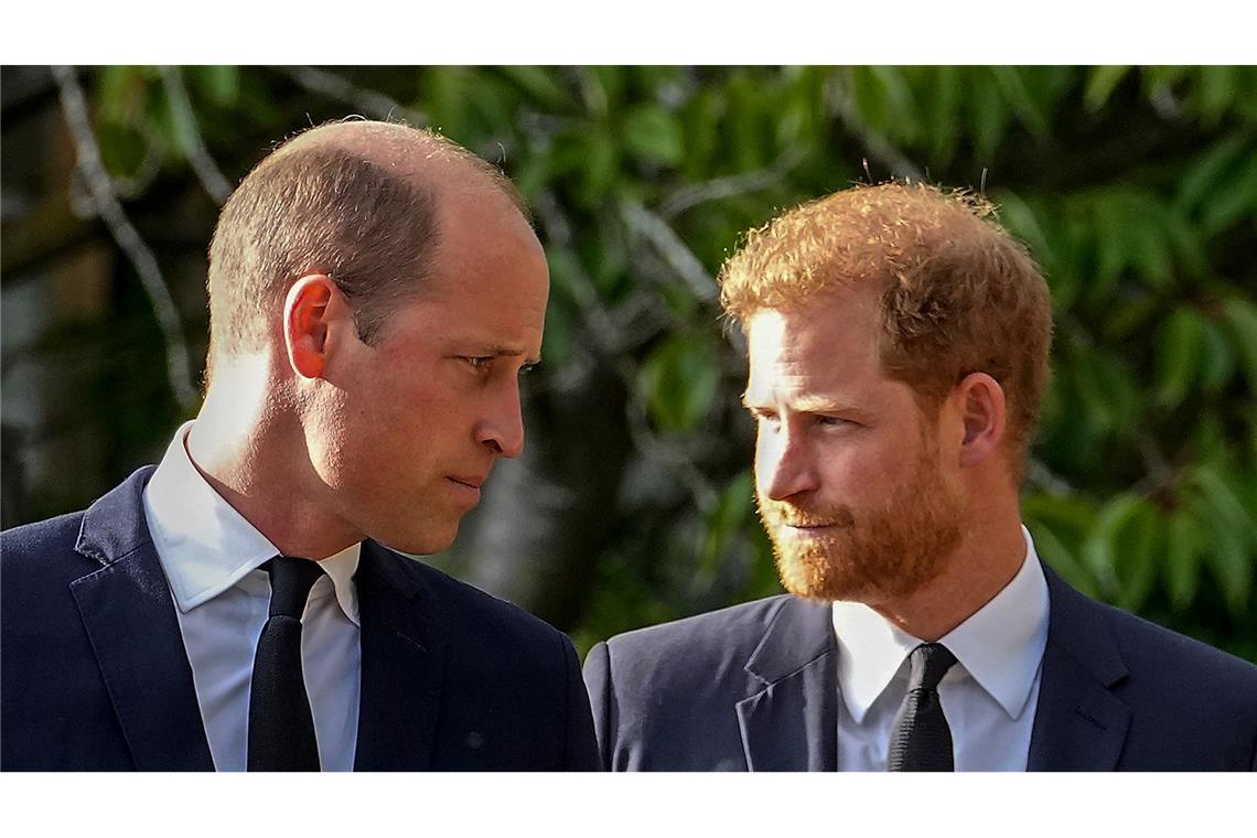 Versöhnung? Nach Niederlage vor Gericht spricht Prinz Harry Ein seltenes Bild: Die beiden Royal-Brüder William (l.) und Harry auf einem Foto. (Archivbild)