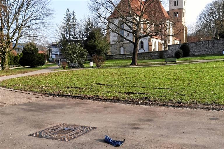 Ein seltsames Phänomen: Obwohl der Hundekot in Abfalltüten gepackt wird, landet er dann doch auf den Wegen oder auf der Wiese. Foto: K. Wieland