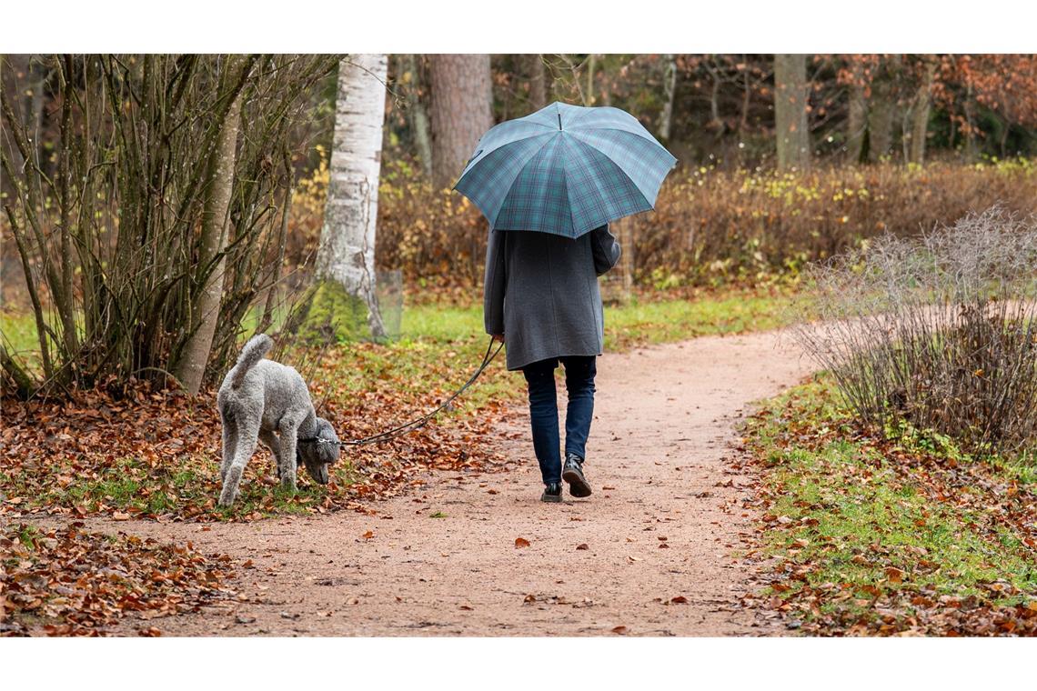 Ein Spaziergang ist ein gutes Mittel gegen Stress. (Symbolbild)