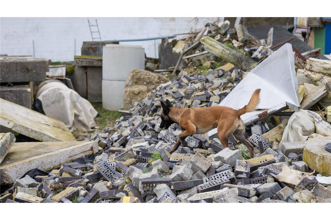 Erdbeben der Stärke 7,5 erschüttert Japan