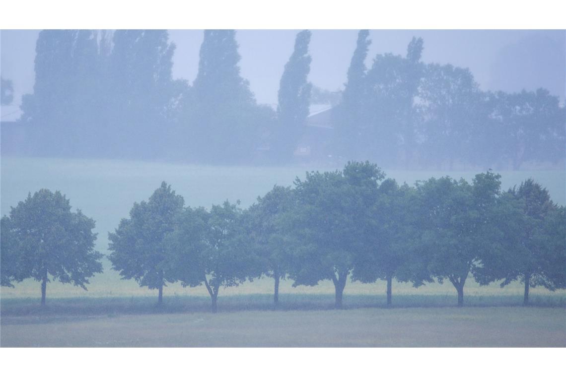 Hitze kehrt ab Mitte der Woche zurück Ein Starkregengebiet zieht über Mecklenburg-Vorpommern.