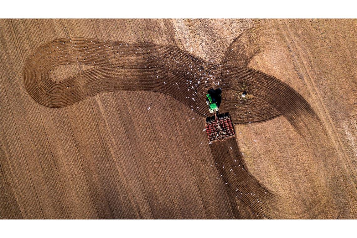Bilder des Tages Ein Traktor zieht eine Egge über einen Acker und bereitet die Flächen auf die Aussaat vor.