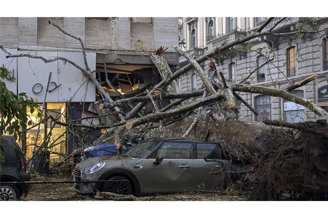 Mindestens drei Tote bei Unwettern in Italien Ein umgestürzter Baum nach starkem Wind und Regen in Mailand auf einem Auto.