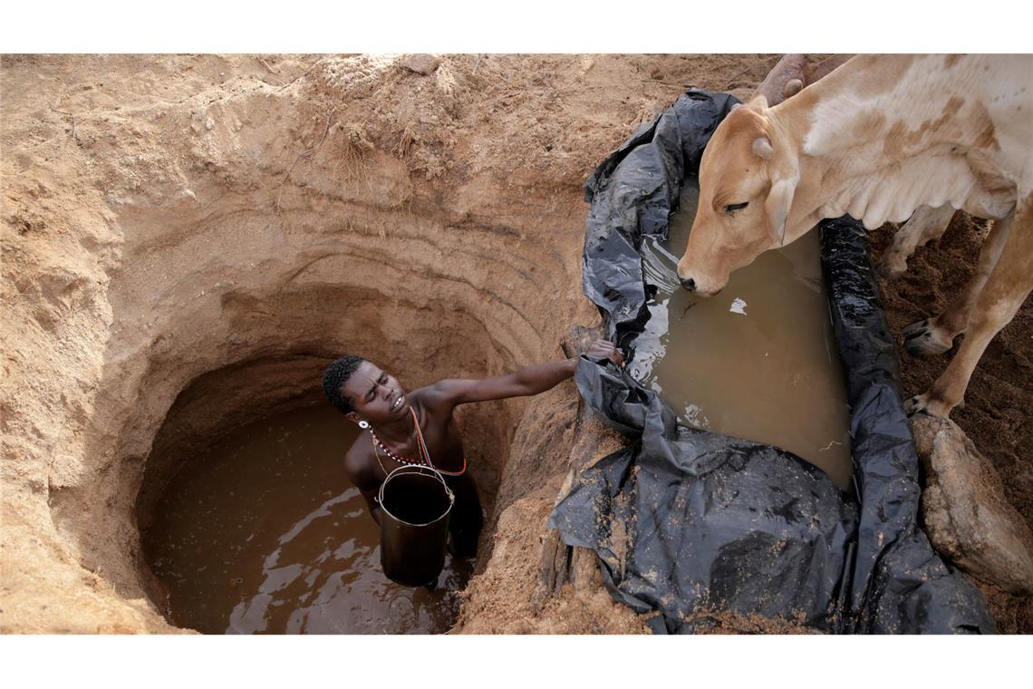 Ein Viehhirte vom Volk der Samburu im Norden Kenias tränkt Rinder (Archivbild)