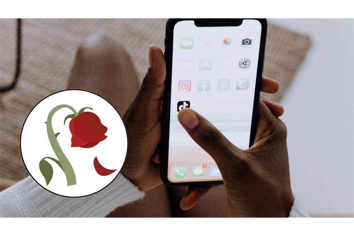 Was bedeutet das „Dead Rose Emoji“? Ein virales TikTok-Video setzte den Trend endgültig in Gang.