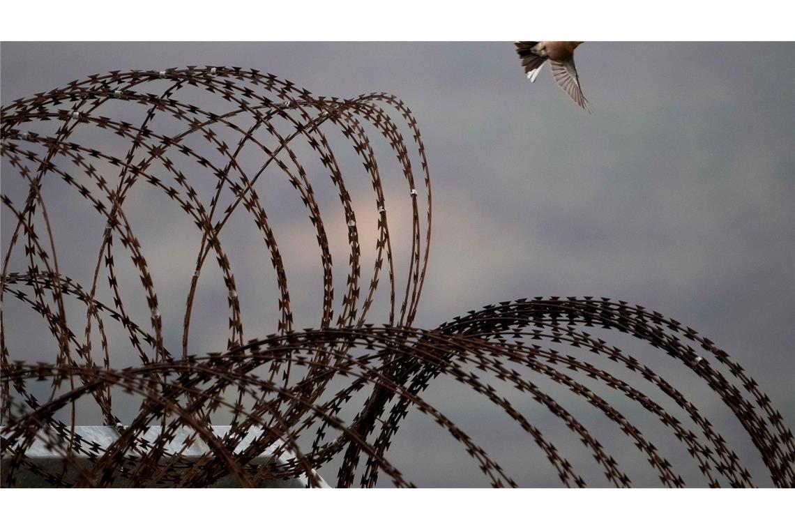 Bilder des Tages Ein Vogel fliegt über den Sicherheitszaun in der Nähe der so genannten Alpha-Linie, die die israelisch kontrollierten Golanhöhen von Syrien trennt.