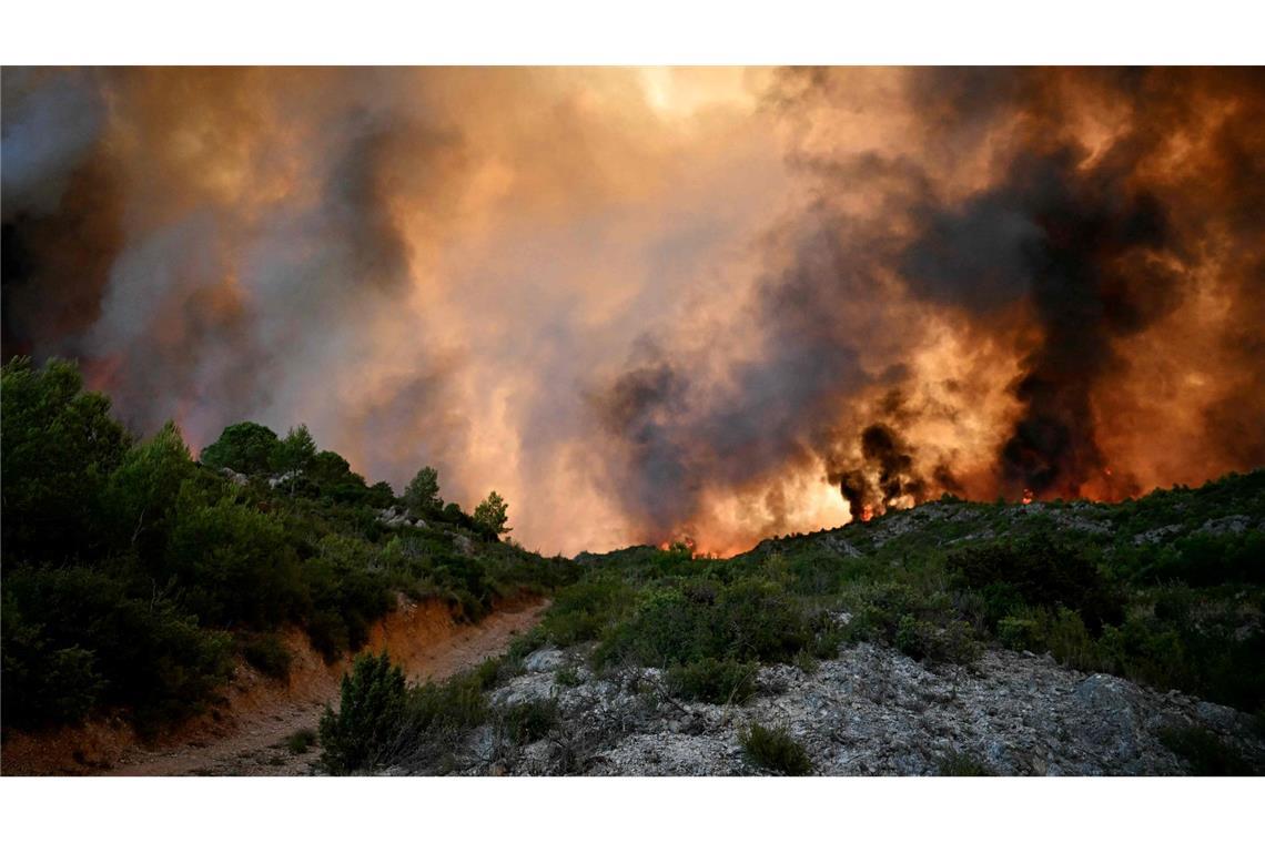 Ein Wald steht nahe Fontjoncouse, im Südwesten Frankreichs, in Flammen.