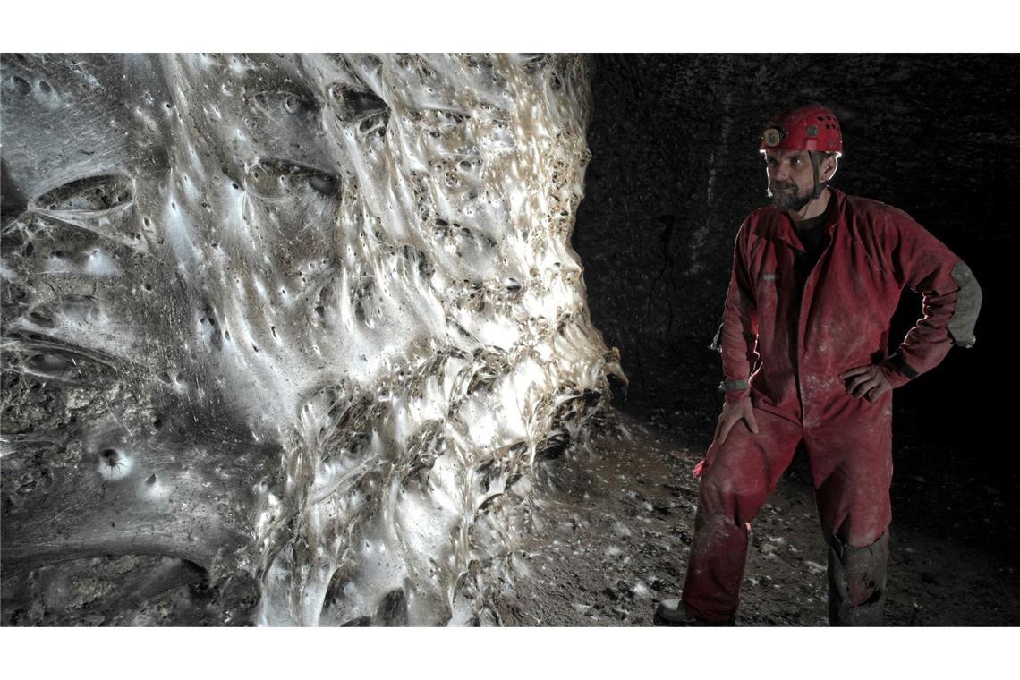 Ein Wissenschaftler vor dem riesigen Spinnennetz